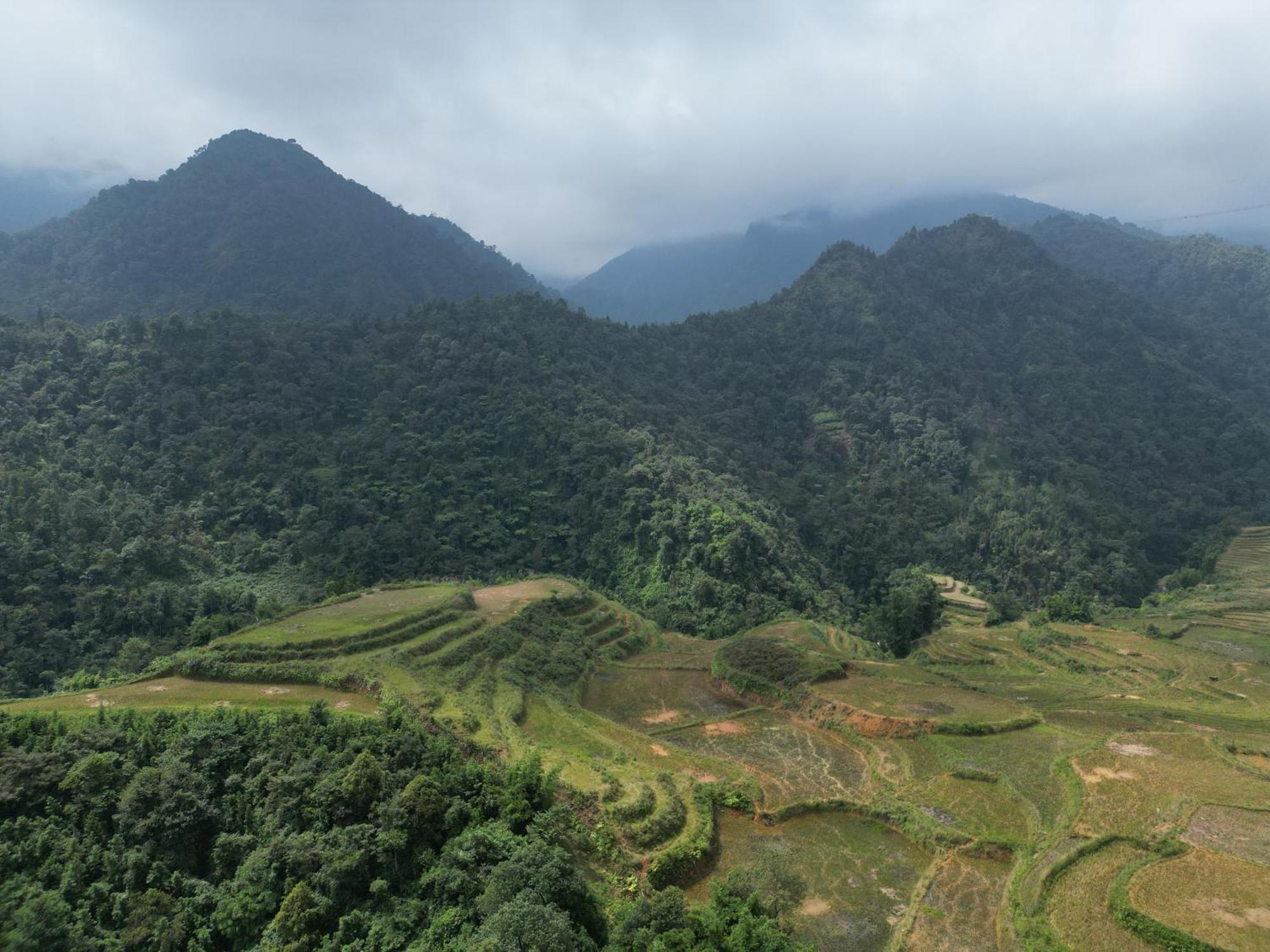 Lanh Sapa Homestay المظهر الخارجي الصورة